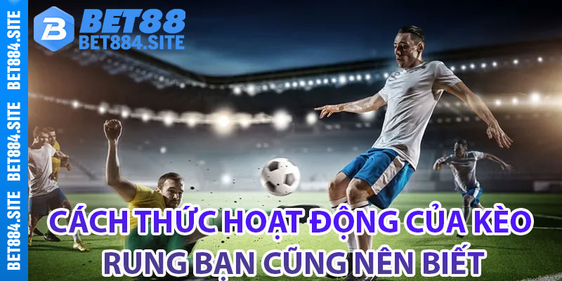 Cách thức hoạt động của kèo rung bạn cũng nên biết