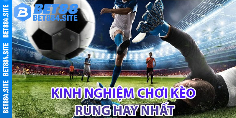 Kinh nghiệm chơi kèo rung hay nhất